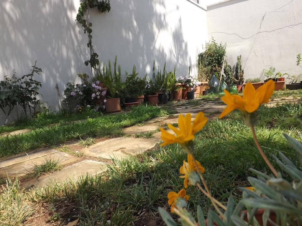 Araucaria Bed & Breakfast Torre San Giovanni Ugento Exterior foto